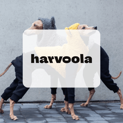 Case studies Thumbnails Harvoola - Harvoola: How to go from 5 to 6 figures a year