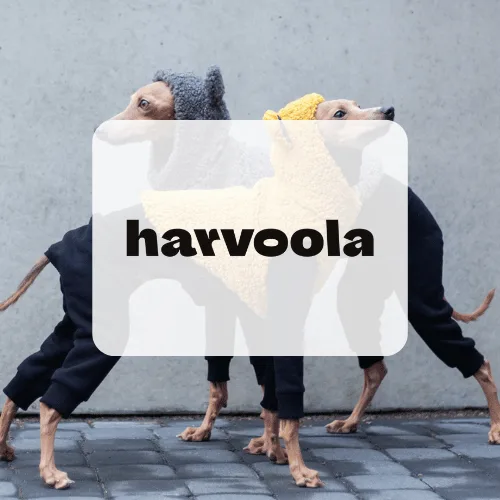 Harvoola: How to go from 5 to 6 figures a year