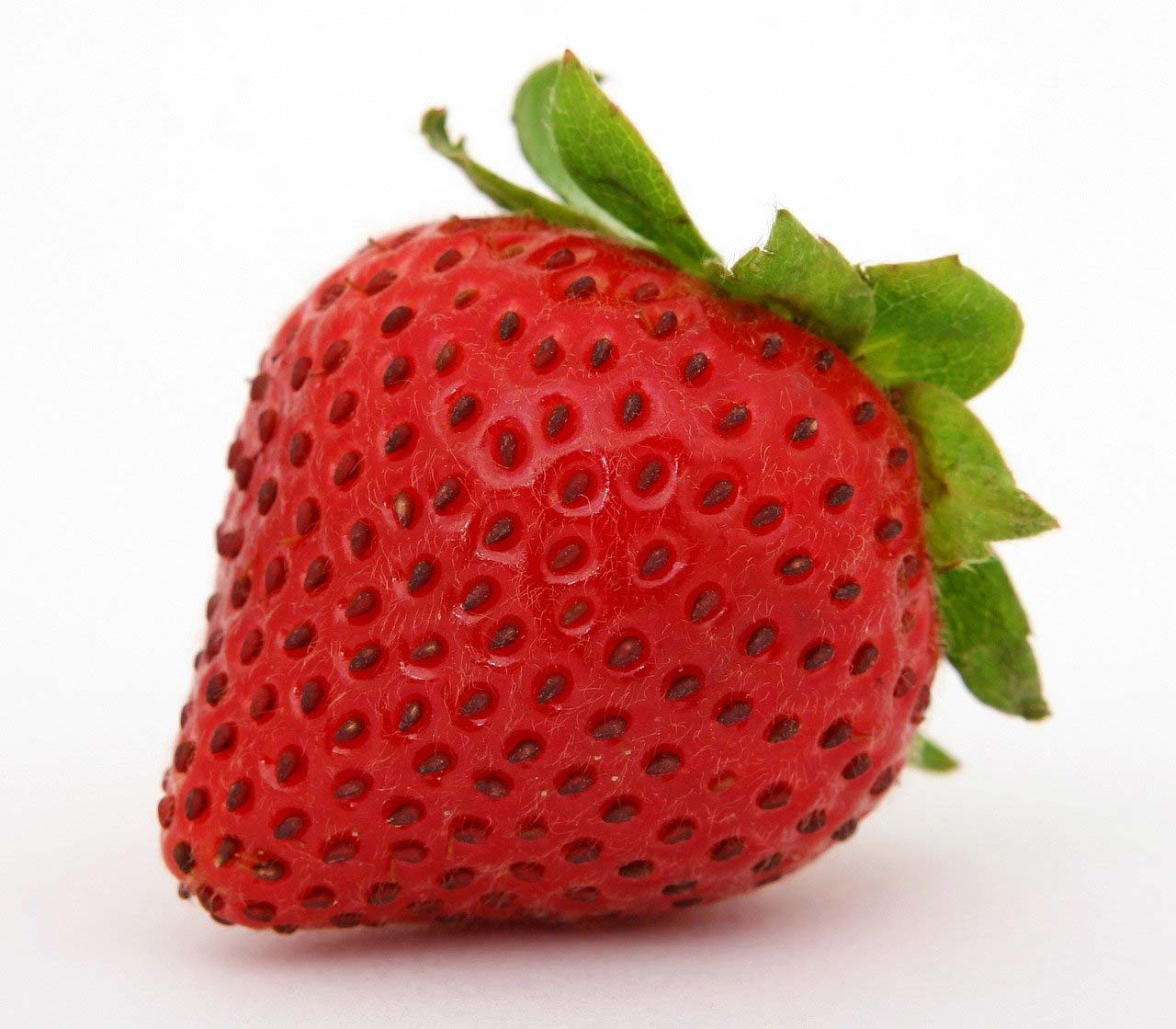 Exemple fraise pour SEO