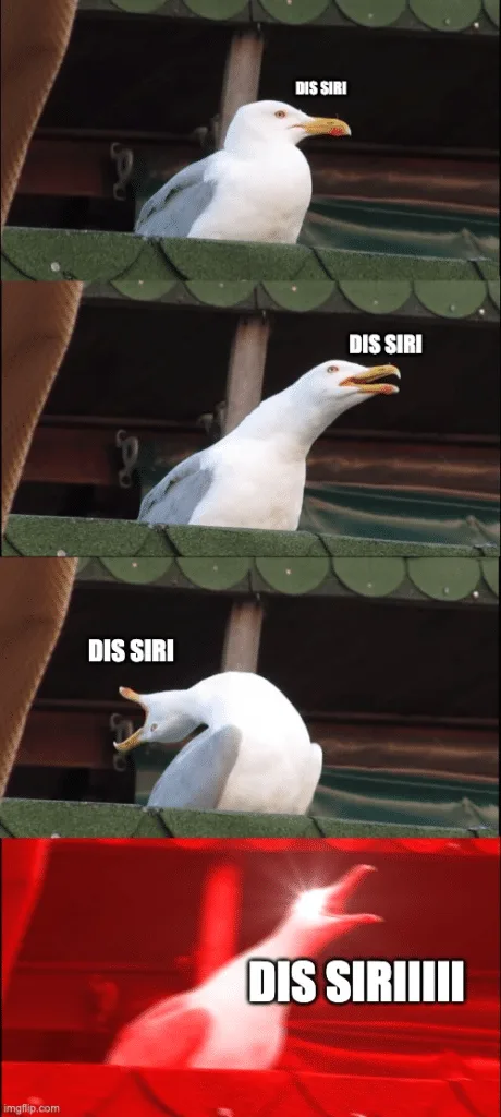 Meme siri