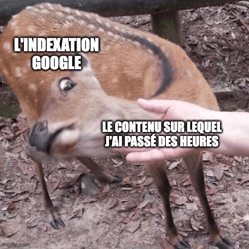 Meme Google Search Console